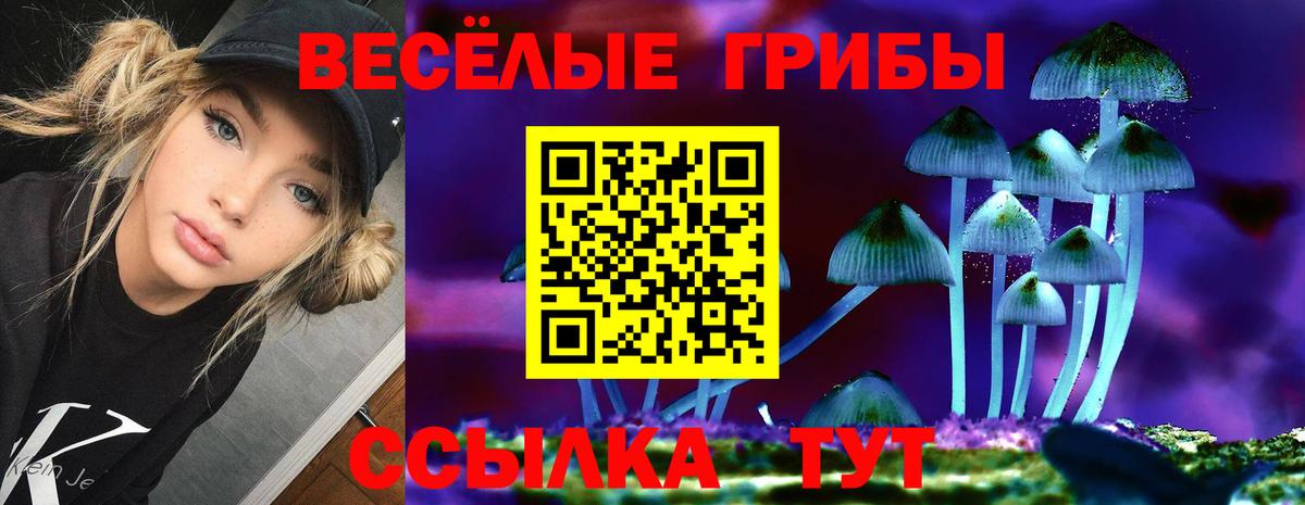 Галлюциногенные грибы GOLDEN TEACHER Валуйки